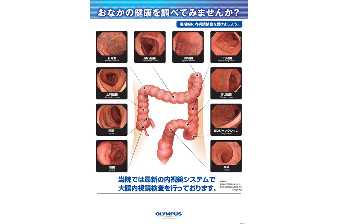おなかの健康を調べてみませんか？