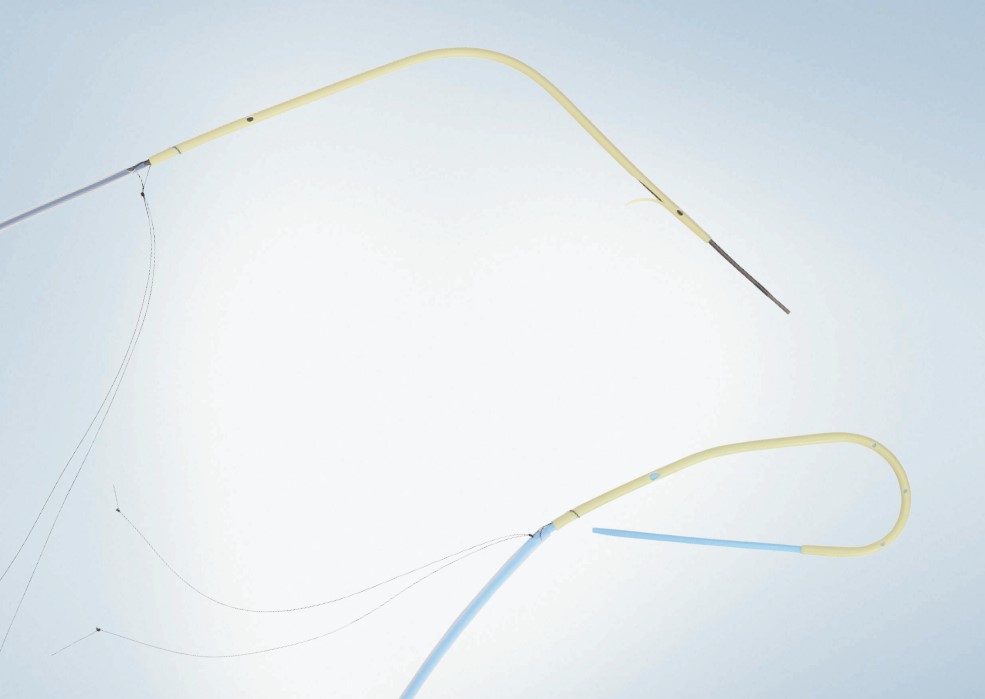 SX 胆管用ステント