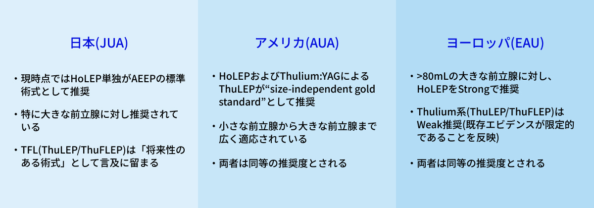 TFLを用いたBPH手術の推奨度