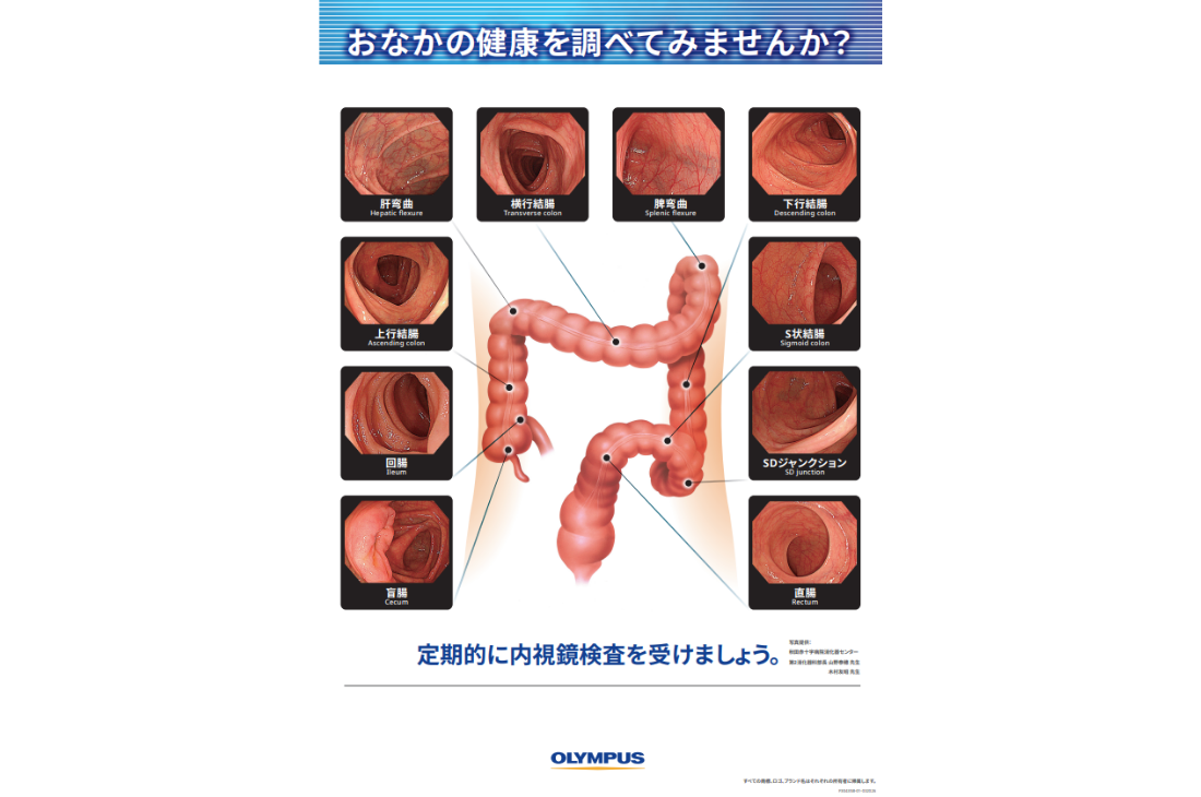 おなかの健康を調べてみませんか？